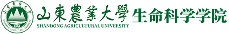 欧冠官网中文