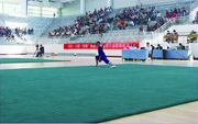 SC-381 武术地毯
